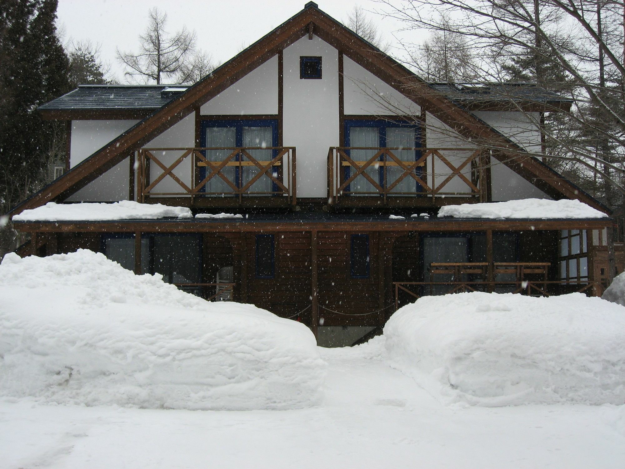 Вилла Hakuba Megeve Экстерьер фото